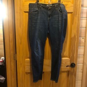 Torrid Jeans